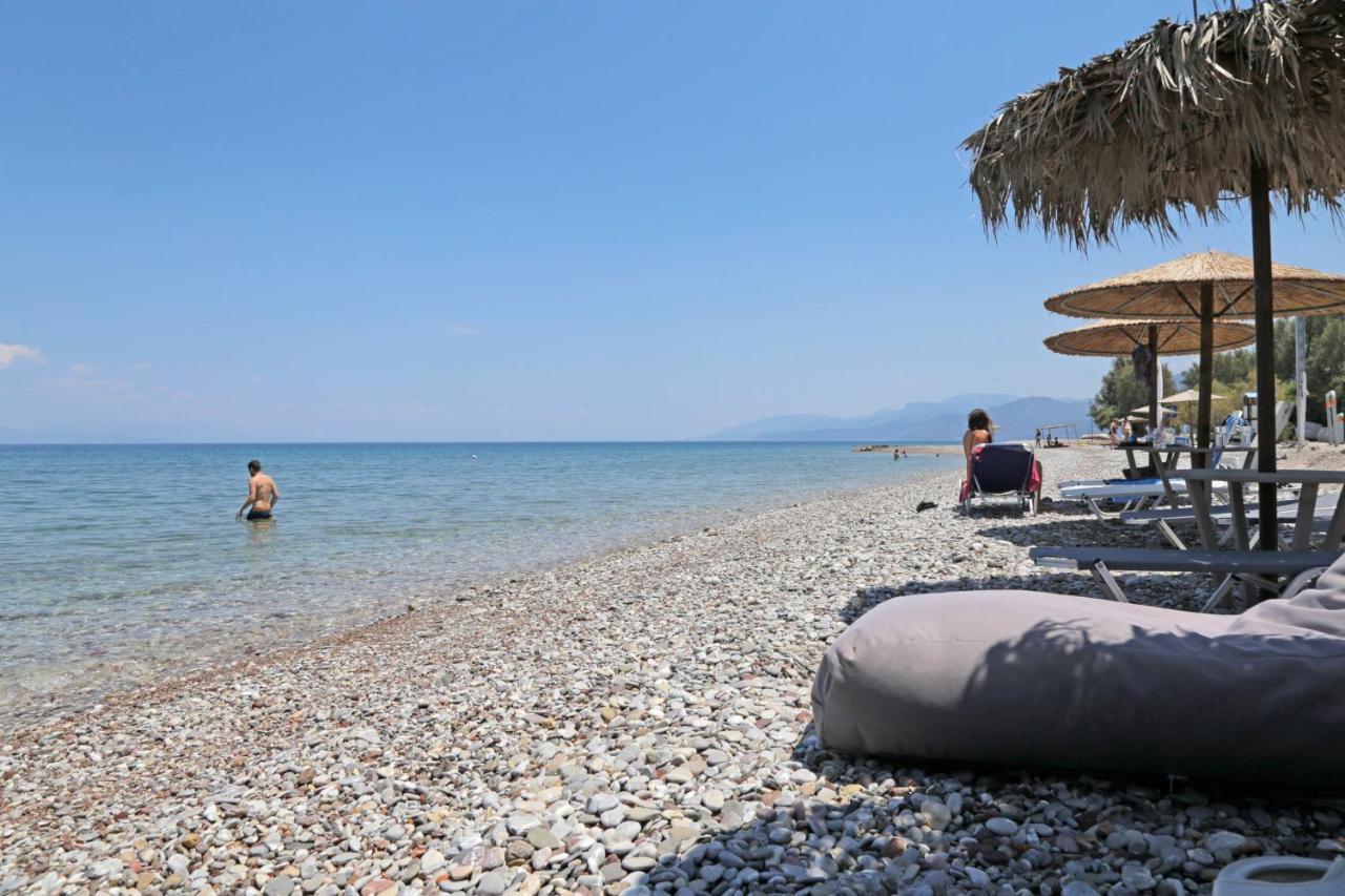 Oliva Holiday Homes Dhiyellótika Dış mekan fotoğraf